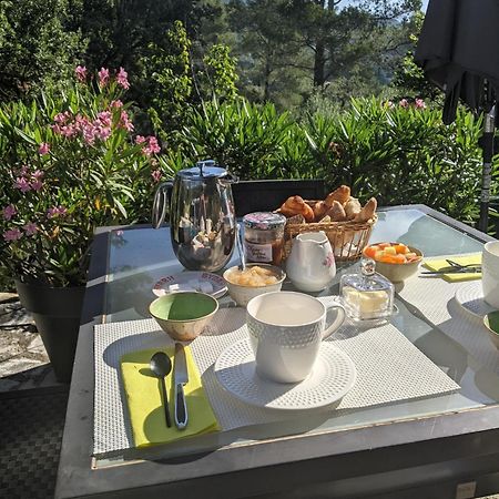 Le Clos Sous Le Chemin Seillans Exterior photo